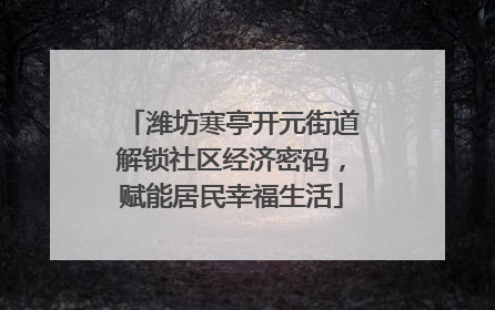 潍坊寒亭开元街道解锁社区经济密码，赋能居民幸福生活