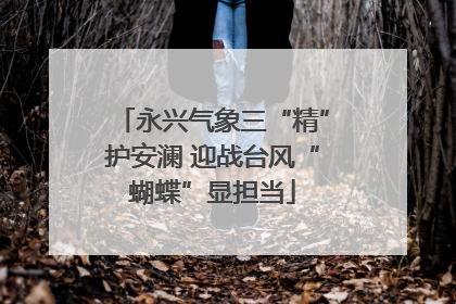 永兴气象三“精”护安澜 迎战台风“蝴蝶”显担当
