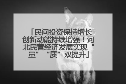 民间投资保持增长 创新动能持续增强！河北民营经济发展实现“量”“质”双提升