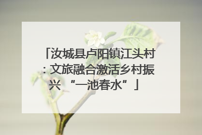 汝城县卢阳镇江头村：文旅融合激活乡村振兴 “一池春水”