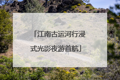 江南古运河行浸式光影夜游首航