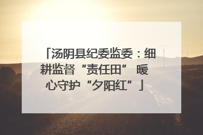 汤阴县纪委监委：细耕监督“责任田” 暖心守护“夕阳红”