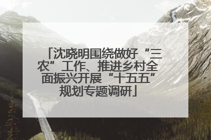 沈晓明围绕做好“三农”工作、推进乡村全面振兴开展“十五五”规划专题调研