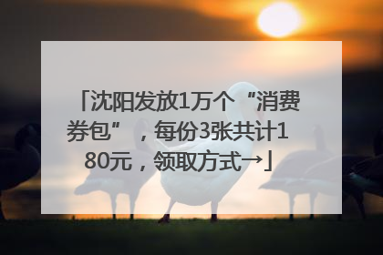 沈阳发放1万个“消费券包”，每份3张共计180元，领取方式→