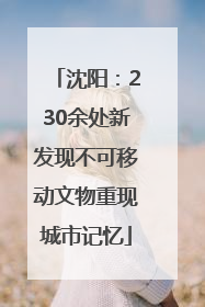 沈阳：230余处新发现不可移动文物重现城市记忆