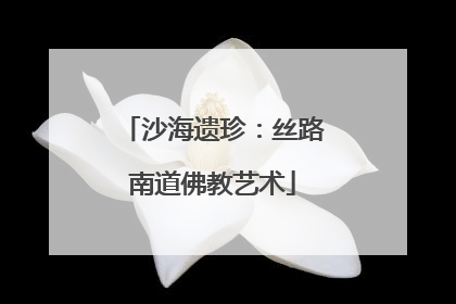 沙海遗珍：丝路南道佛教艺术