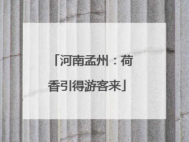 河南孟州：荷香引得游客来