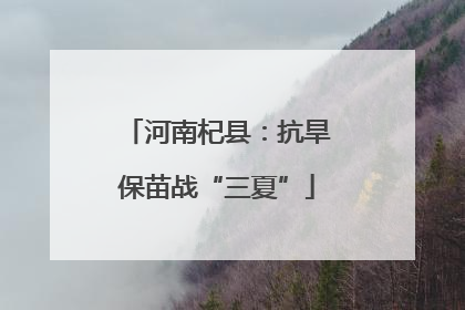 河南杞县：抗旱保苗战“三夏”