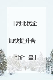 河北民企加快提升含“新”量