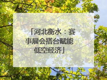 河北衡水：赛事展会搭台赋能低空经济