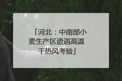 河北：中南部小麦生产区遭遇高温干热风考验