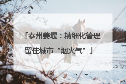 泰州姜堰：精细化管理留住城市“烟火气”