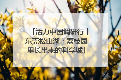 活力中国调研行丨东莞松山湖：荔枝园里长出来的科学城