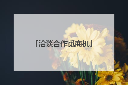 洽谈合作觅商机
