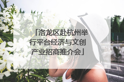 洛龙区赴杭州举行平台经济与文创产业招商推介会