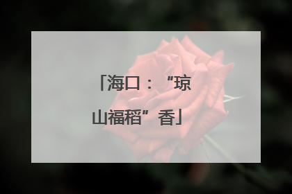 海口：“琼山福稻”香
