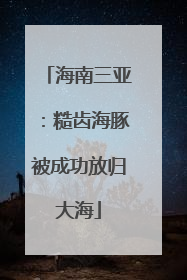 海南三亚：糙齿海豚被成功放归大海