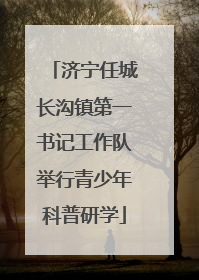 济宁任城长沟镇第一书记工作队举行青少年科普研学