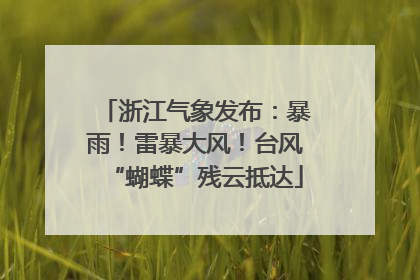 浙江气象发布：暴雨！雷暴大风！台风“蝴蝶”残云抵达