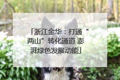 浙江金华：打通“两山”转化通道 澎湃绿色发展动能