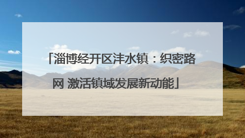 淄博经开区沣水镇：织密路网 激活镇域发展新动能