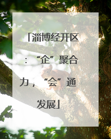 淄博经开区：“企”聚合力，“会”通发展