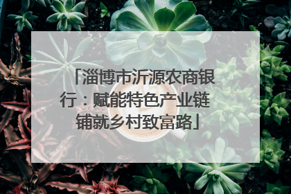 淄博市沂源农商银行：赋能特色产业链 铺就乡村致富路