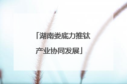 湖南娄底力推钛产业协同发展