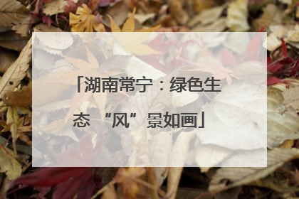 湖南常宁：绿色生态 “风”景如画