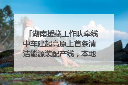 湖南援藏工作队牵线中车建起高原上首条清洁能源装配产线，本地大学生成车间检验员