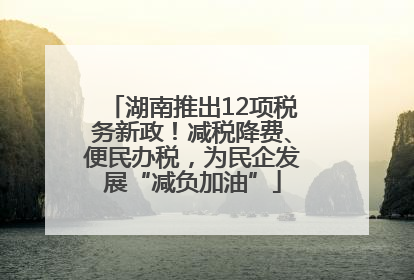 湖南推出12项税务新政！减税降费、便民办税，为民企发展“减负加油”
