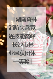湖南森林消防尖兵竞逐技能巅峰 长沙市林业局获团体一等奖
