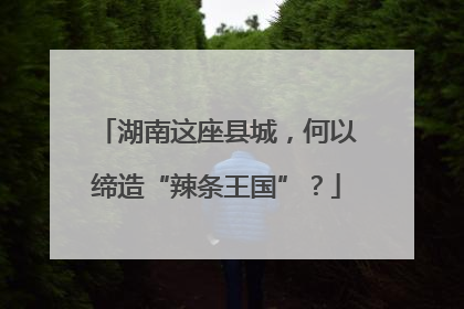 湖南这座县城，何以缔造“辣条王国”？