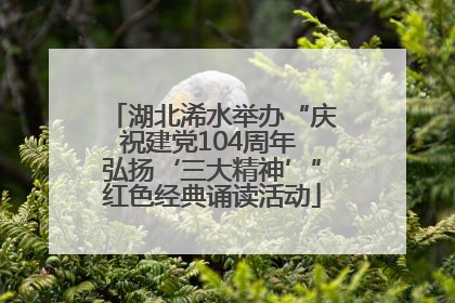 湖北浠水举办“庆祝建党104周年 弘扬‘三大精神’”红色经典诵读活动