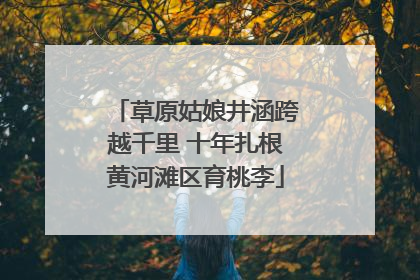 草原姑娘井涵跨越千里 十年扎根黄河滩区育桃李