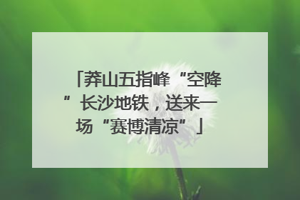 莽山五指峰“空降”长沙地铁，送来一场“赛博清凉”