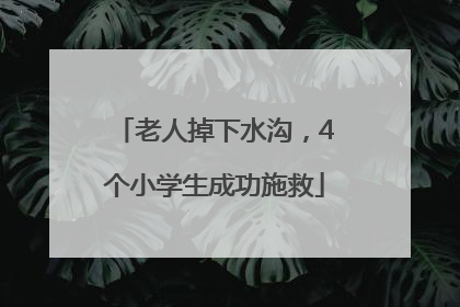 老人掉下水沟，4个小学生成功施救