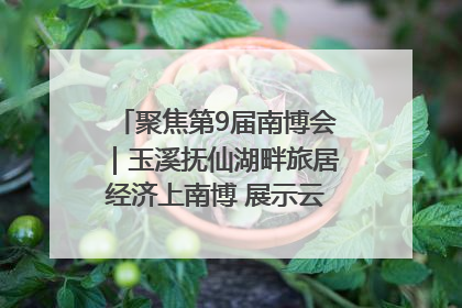 聚焦第9届南博会｜玉溪抚仙湖畔旅居经济上南博 展示云南生活新样本