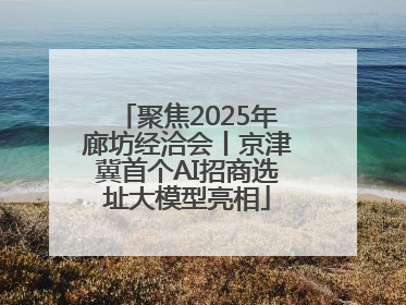 聚焦2025年廊坊经洽会丨京津冀首个AI招商选址大模型亮相
