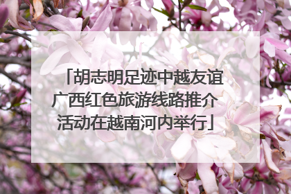 胡志明足迹中越友谊广西红色旅游线路推介活动在越南河内举行