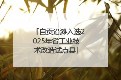 自贡沿滩入选2025年省工业技术改造试点县