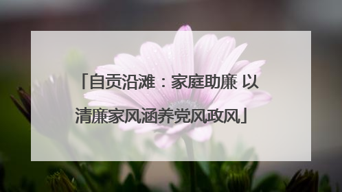 自贡沿滩：家庭助廉 以清廉家风涵养党风政风