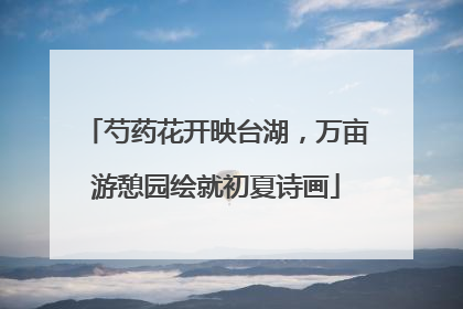 芍药花开映台湖，万亩游憩园绘就初夏诗画