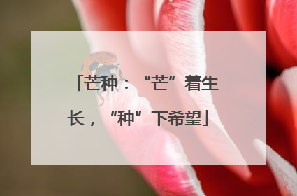 芒种：“芒”着生长，“种”下希望