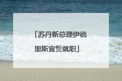 苏丹新总理伊德里斯宣誓就职