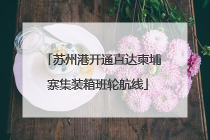 苏州港开通直达柬埔寨集装箱班轮航线