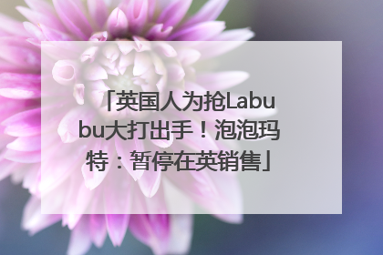 英国人为抢Labubu大打出手！泡泡玛特：暂停在英销售