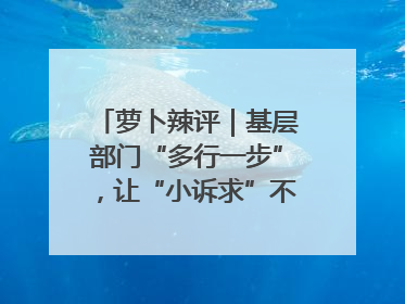 萝卜辣评｜基层部门“多行一步”，让“小诉求”不缺席法治守护
