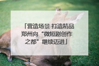 营造场景 打造精品 郑州向“微短剧创作之都”继续迈进