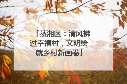 蒸湘区：清风拂过幸福村，文明绘就乡村新画卷